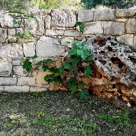 Iris וילה *
